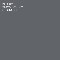 #616469 - Storm Dust Color Image